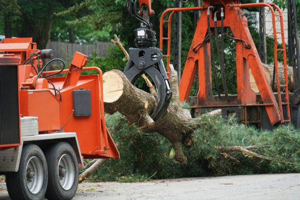 Lawn Drainage Solutions in Grandview, MO